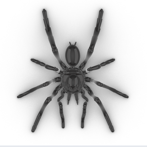 articulated tarantula insect toy october hallowen scary realistic dang 3D print model - Mito3D