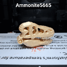 articolato tirannosauro rex cranio 3d print model - Mito3D