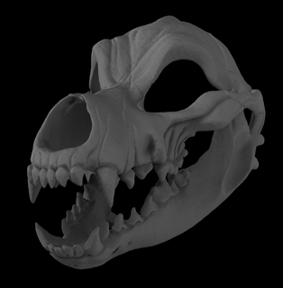 articulated wolf skull mask halloween skull monster creature fursuit cosplay costume base head base head mask furry  3d print model - Mito3D