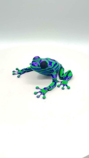 articulated zebra frog multi part 3mf painted articulation flexi 3d print model - Mito3D