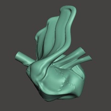 artística corazón art de órganos orgánica esculpir la escultura 3d print model - Mito3D