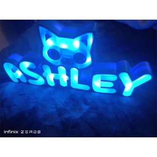 ashley cat lamp 3d print model - Mito3D