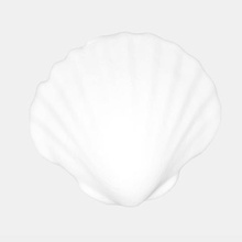 cenicero de la shell art concha 3d print model - Mito3D