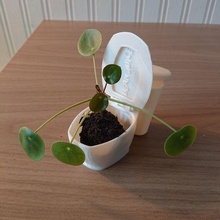 ashtray toilet flower pot 3d print model - Mito3D