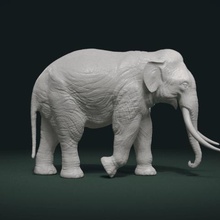 elefante asiatico art slon mammifero di stampa animale indiano 3d print model - Mito3D