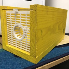 asian hornet trap tool beekeeping buckfast black bees bee 3d print model - Mito3D