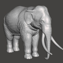asian indian elephant figure model animal creature wildlife 3d print model - Mito3D