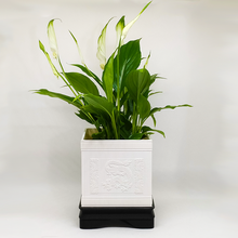 asiático maceta 2 piezas planta chino mosaico florero vaso dragones elegante continuar cuadrada China plantas clasico 3d print model - Mito3D