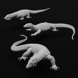asian water monitor - realistic lizard reptile varanus salvator animal pet large life-like life detailed sculpt miniature mini gift art decoration 3d print model - Mito3D