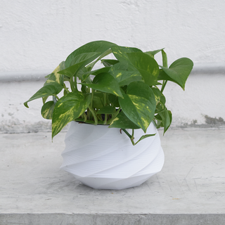 spa vaso modo plantador Panela 3d print model - Mito3D