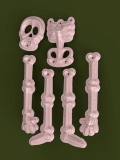 assemblable skeleton five pieces assembly structure components detachable joints construction anatomy educational toy puzzle hands three-dimensional learning 3d print model - Mito3D
