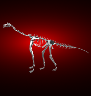 atlasaurio esqueleto dinosaurio raptor huesos 3d print model - Mito3D