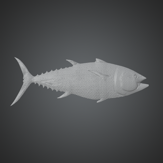 atum stl alívio arte peixe cnc Artcam carveco 3d print model - Mito3D