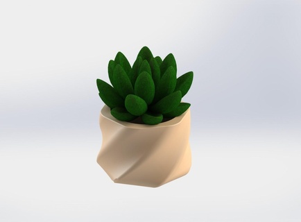 Schnecke saftig Pflanzer Kaktus Pflanzen Garten Zuhause Haus Blume Vase 3d print model - Mito3D