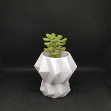 aura florero planta maceta plantador jardineras flores suculento diamante interior vaso paraca vasos decorativos 3d print model - Mito3D