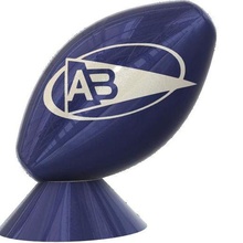 aviron bayonnais rugby ball art 3d print model - Mito3D