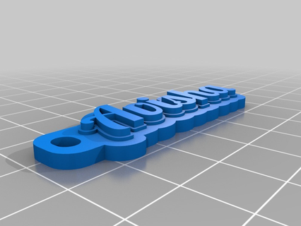 avisha's keychain customized organization 3d print model - Mito3D