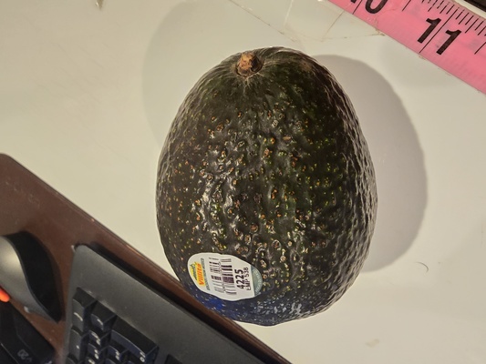 avocado palta frutta verdura verdibile scansione einscan pro hd 3d print model - Mito3D