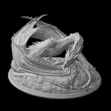 impressionnant dragon stl art animal fantaisie 3d print model - Mito3D