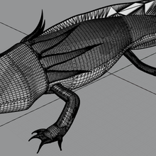 axolotl salamandre 3d print model - Mito3D