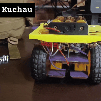 ajolote fútbol rc robot arduino electrónico salamandra 3d print model - Mito3D