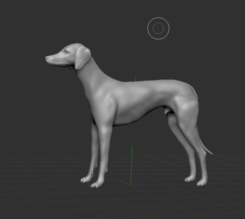 azawakh dog dog pitbull dog animal pet trophy dogs podenco azawakh ibicencan dog  3d print model - Mito3D