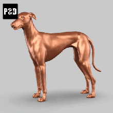 Azawakh Pose 01 Kunst Hund Tier Spielzeug Haustier Figuren 3d print model - Mito3D