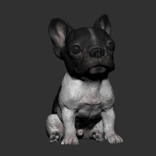 bambino bulldog francese 3d print model - Mito3D