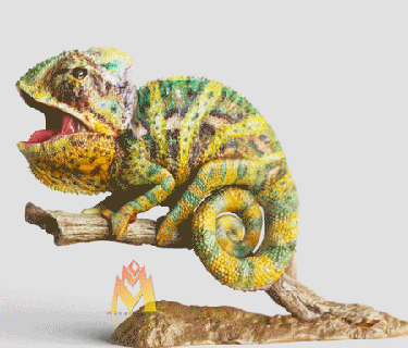 Baby Chamäleons vrml Farbe 3d drucken stl inbegriffen lizard Eidechse Leopard Gecko Stomatopoden Garnele Reptil Meer Kreatur 3d print model - Mito3D