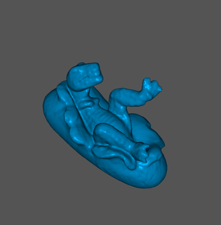 bebé dinosaurio huevo allosaurus animal juguete cáscara gratis 3d print model - Mito3D