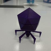 bacteriophage t7 learning 3d print model - Mito3D