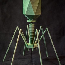 bacteriophage t4 virus art 3d print model - Mito3D