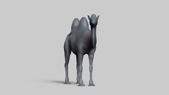 battriano cammello posa 03 stl file 3d stampa modello mammifero animale fauna selvatica design arte figurine giocattolo pla resina creality natura 3d print model - Mito3D