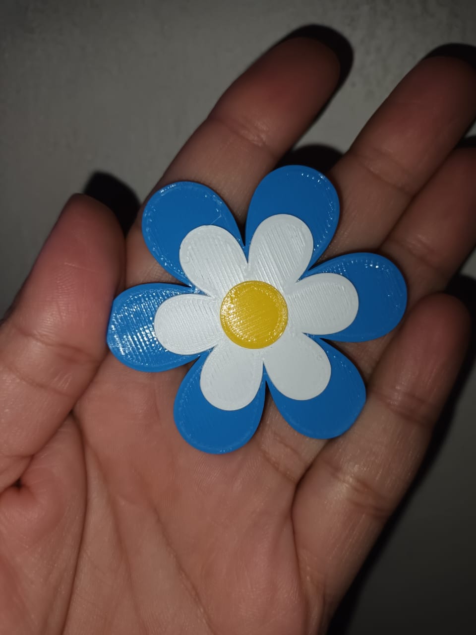 abzeichen argentinien flagge rosetten stifte falkland inseln kokarde 3D print model - Mito3D