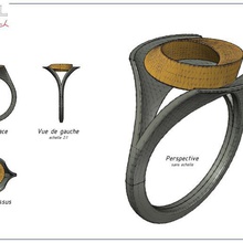 bague jóias anéis bijoux 3d print model - Mito3D