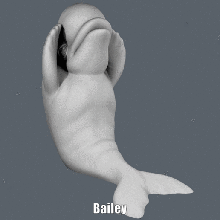 bailey easy print di alcun supporto art cartone animato thephinapterus luifer disney pixar figura la ricerca dory alla nemo modello scultura supportless 3d print model - Mito3D