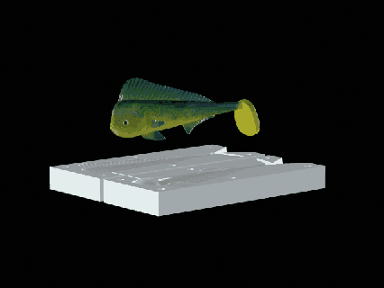 yem iş Dorado 16cm toynak form yırtıcı Balık tutma levrek zander sazan kedi balığı turna bas alabalık Tuna Somon balık cezbetmek heykel deniz hayvan dekorasyon Köpekbalığı 3d print model - Mito3D