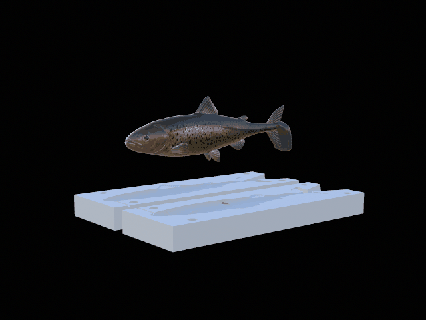 yem gökkuşağı alabalık 20 13cm toynak form yırtıcı Balık tutma zander levrek sazan kedi balığı turna çipura bas balık cezbetmek heykel Tuna okyanus 3d print model - Mito3D