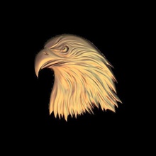 bald eagle Kunst 3d print model - Mito3D