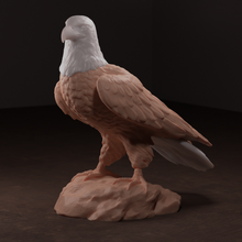 bald eagle 3d print model - Mito3D