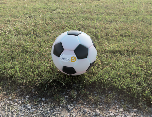 ballon football pied sport 3d print model - Mito3D