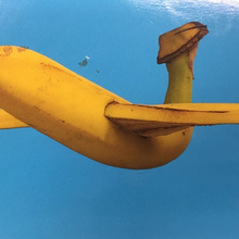 banana wings game janitor 40k 3d print model - Mito3D