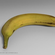 bananas various 3d print model - Mito3D