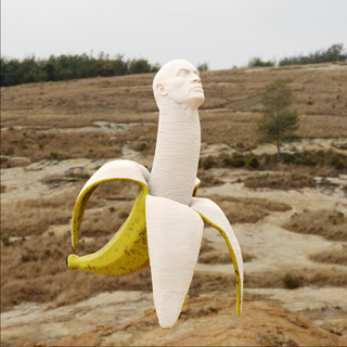 leer Johnson Kunst Skulptur Dwayne Felsen Banane drucken meme 3d print model - Mito3D