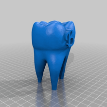 barden diente w b de la herramienta La impresión en 3d 3d print model - Mito3D
