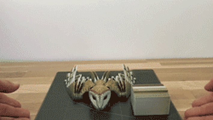 grange hibou album animal ave oiseau imprimée multimatériau multicolore articulé griffe 3d print model - Mito3D
