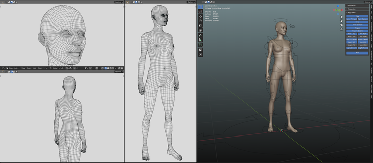 base engrener femelle personnage Humain anatomie 3d modèle faible poly Jeu prêt gréé animation ready mixeur 3d print model - Mito3D