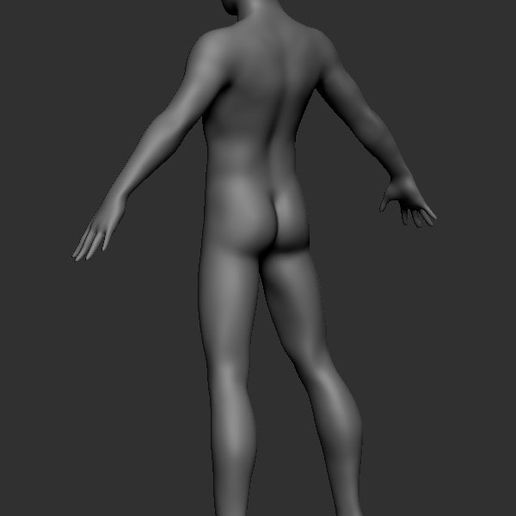 base malha masculino corpo modelo 3D print model - Mito3D