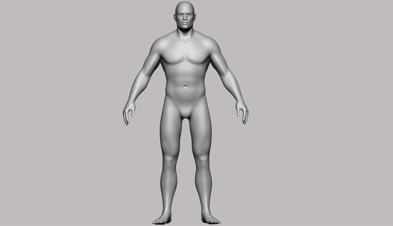 base malla masculino cuerpo 3 masculino modelo 3 modelo masculino base hombre persona 3d print model - Mito3D