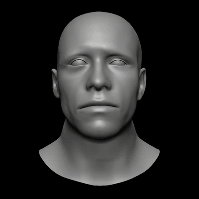 basemesh muscular homem cabeça 3 arte malha modelo zbrush escultura esculpir personagem cara humano pessoa poli retrato realismo jogos pronto anatomia 3d print model - Mito3D